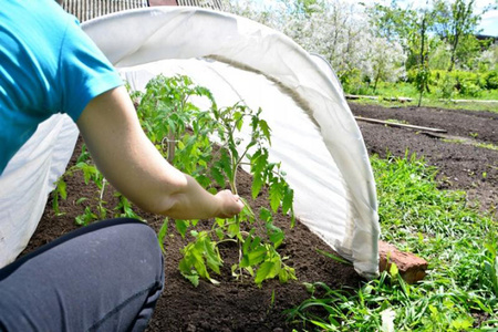 Agrotextil-Federabdeckung 1,1 x 5m 17 g Weiß