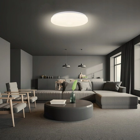 PLAFON LED 49cm runde Deckenleuchte RGBW 3000K-6500K + Fernbedienung BLUETOOTH-Lautsprecher