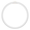 LED Kreisförmige Leuchtstofflampe 2GX13 T5 21.5W 3200lm 6500K Kalt 120° Ledvance