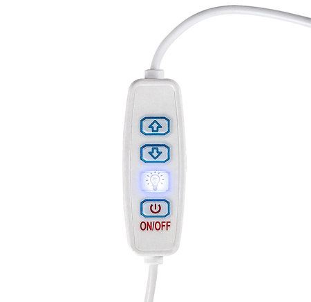 Tischlampe Schreibtisch Nacht Dekorativ 1.3W 40lm 3000K Dimmbar Braun Skandinavisch Pirit Rabalux