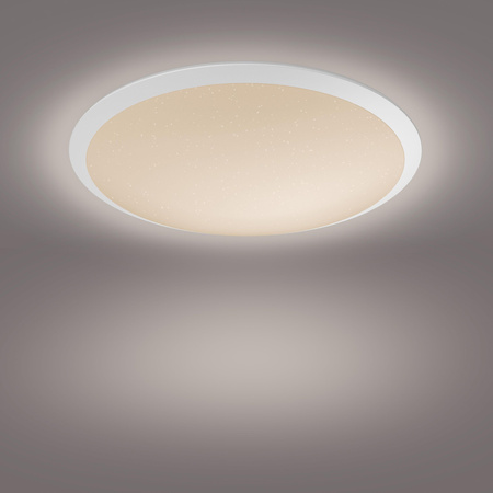 Plafond LED-Deckenleuchte CAVANAL 18W 2700K 35cm Dimmbar PHILIPS