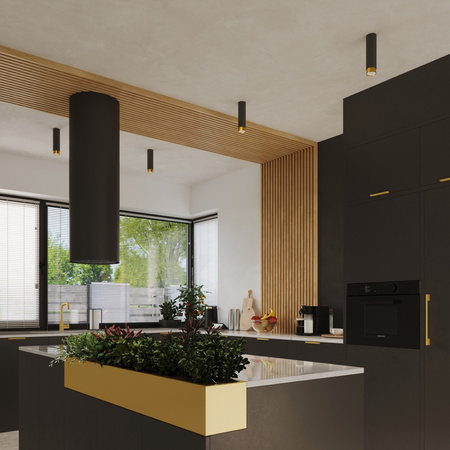 Deckenleuchte Leuchte Aufbauleuchte Tuba Spot GU10 Schwarz Gold Nero Bittersweet Shimmer SL.1411 Sollux