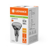 LED Lampen R50 E14 4.3W = 60W 350lm 2700K Warmweiß FILAMENT LEDVANCE
