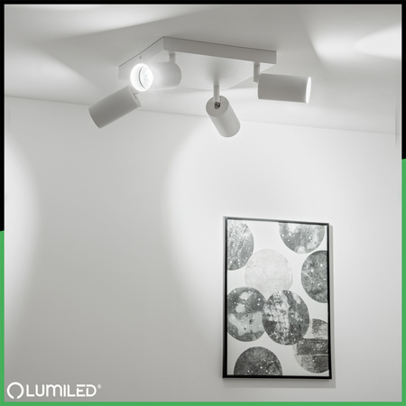 Deckenleuchte Plafond SPOT TUBA Reflektor Halogen Leuchte 4x GU10 TABULA LUMILED