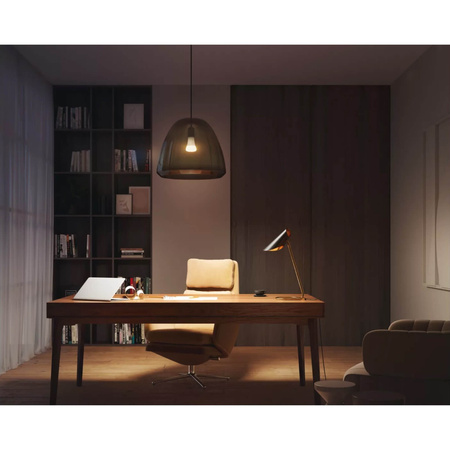 LED-Glühbirne E27 A67 15.5W 2700K Warm PHILIPS HUE Weiß Bluetooth Zigbee