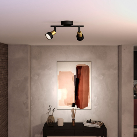 Reflektor-Deckenleuchte 2x GU10 Schwarz-Kupfer-Röhre Philips