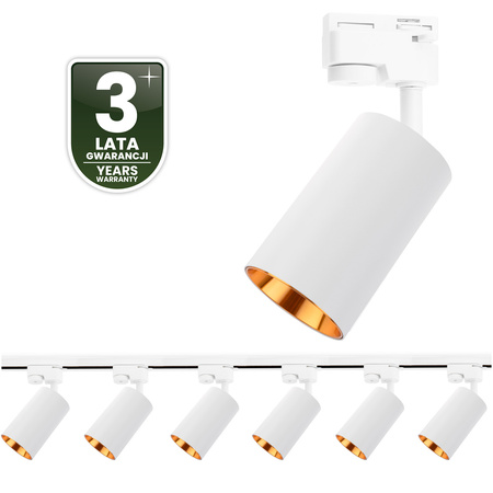 2m Stromschiene + 6x Schienenstrahler GU10 Weiß-Gold SAGI LUMILED