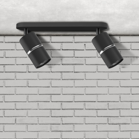 Wand- und Deckenstrahler 2x GU10 BlackSilver BAMBOO Sanico Goldlux