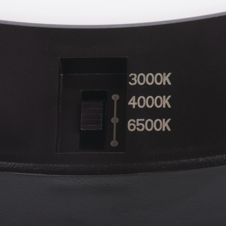 LED-Downlight-Anbauleuchte 17W 1600lm CCT 120° Rundstrahlend Schwarz ERGA Kanlux