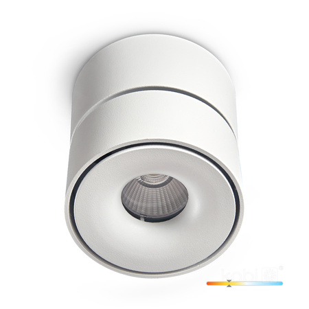 Deckenleuchte Reflektor einstellbar LED 9W 550lm 3000K Warm Dimmbar CRI90 Weiß Lahti Kobi