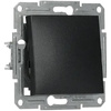 Lichtschalter Einzeltreppe einpolig ohne Rahmen Unterputzmontage Asfora IP20 Anthrazit