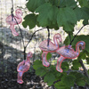 DEKORATIVER Garten SOLARGIRLANDE 10 rosa Flamingos 6500K GOLDLUX (Polux)