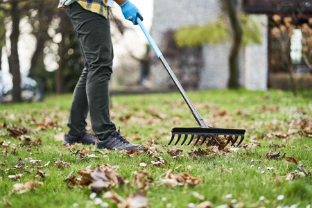 Universal-Rechen IDEAL PRO CELLFAST