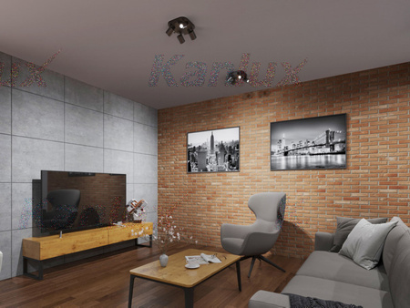 LAURIN 4xGU10 schwarze Kanlux-Deckenleuchte