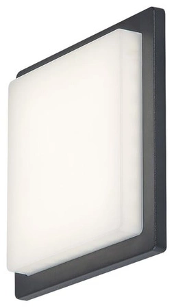 Gartenlampe LED Wandleuchte ONTARIO 8W 4000K IP65 Quadratisch Weiß Anthrazit RABALUX