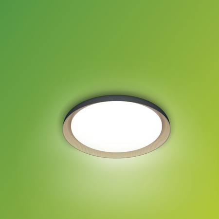 LED Plafond Deckenleuchte 10W 1850lm 2700K SceneSwitch Schwarz Pebblo Ultra Efficient Philips