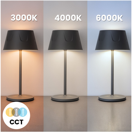 LED Gartenlampe Stehend Dekorativ Nachttisch USB Dimmbar Touch Schwarz FIORA LUMILED