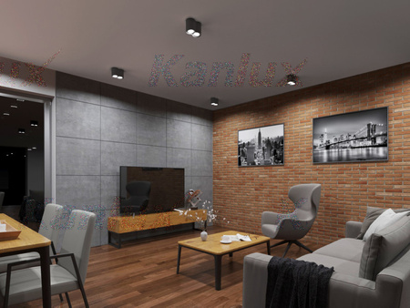 Aufputz-Halogen-bewegliche SPOT-Rundleuchte BORD 2xGU10 mattschwarz IP20 Kanlux