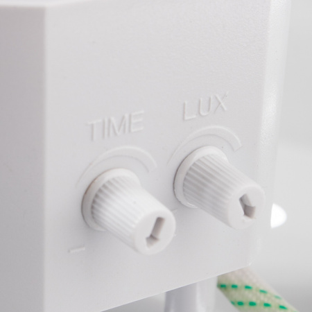 LED-Deckenleuchte 2x E27, Innenleuchte mit Bewegungs- und Dämmerungssensor DALLAS LUMILED