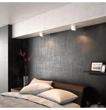 PHASE LED-Anbauleuchte 6.5W 2700K Dimmbar Bewegliches Weiß PHILIPS