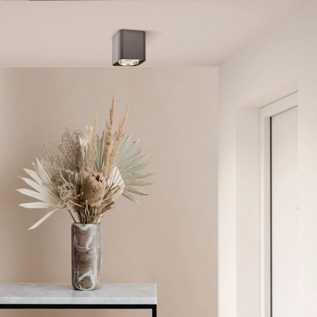 Spot GU10 Schwarz Gold XENO Sanico Goldlux Aufputzleuchte