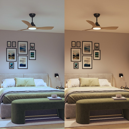 Deckenventilator 28W LED-Deckenleuchte 24W 2650lm 3000/4300/6500K CCT Schwarz Braun + Pilot Olas Philips