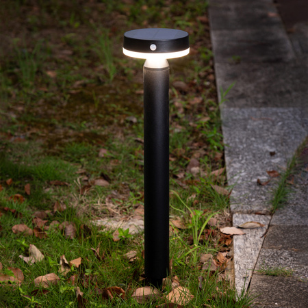 Solar Gartenlampe LED Antrieb Stehend Dekorativ Sensor PIR 4000K Lampe USB-C IP44 Schwarz