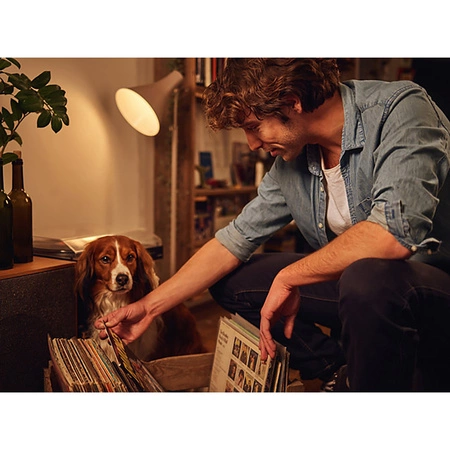 2x LED Lampen E27 A60 8W = 60W 806lm 2700K Warm PHILIPS