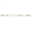 LED-Streifen SMD 2835 10.8W/m 500lm/m 60LED/m 24V 6500K Kalt IP20 Rolle 5m Ecolight