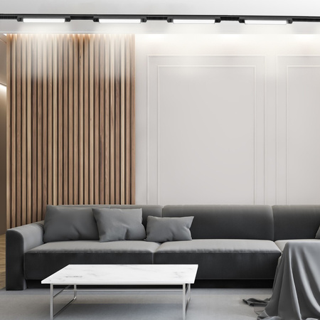 Beleuchtungsschienen-Set 2m Schiene + 2 x LED-Schienenlampen 30W 4000K Schwarz