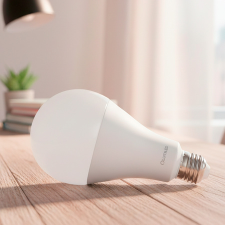 LED Lampen E27, Glühbirne A95 24W = 200W 3452lm 260° 6500K kalt LUMILED