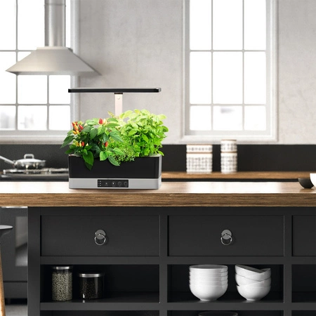 LEDVANCE Innenbeleuchtungslampe 24W 3600K unterstützt das Pflanzenwachstum