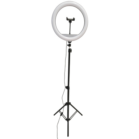 LED Stehleuchte 15W 330lm 2700-4000-6500K Warm 360° Schwarz Dimmbar SELFIE Sanico Goldlux