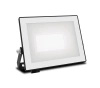 LED-Flutlicht Reflektor 20W 2050lm 5000K IP65 Schwarz Lois Philips
