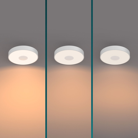 LED Plafond Deckenleuchte 24W 2700lm 2700K SceneSwitch Weiß Coiner Philips