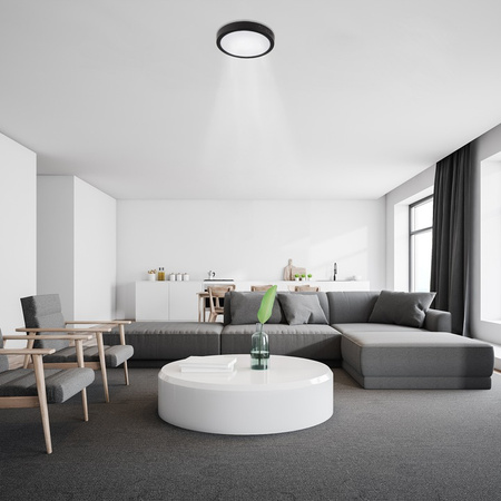 Deckenaufbauleuchte LED-Panel 24W 4000K Schwarz rund Proma LVT