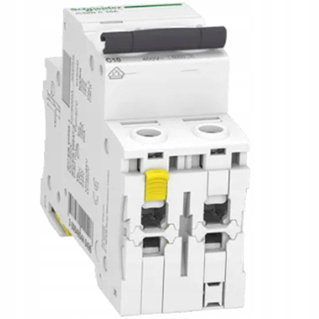 Leistungsschaltersicherung C10A 2P Schneider