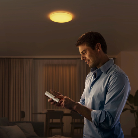 LED Plafond Deckenleuchte 40W 2700-6500K DIMMABLE CCT 48cm WINCEL + PHILIPS PILOT