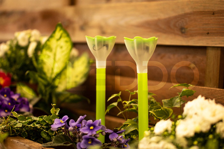 LED Solarbetriebene Gartenlampe TULIPANEK Grün