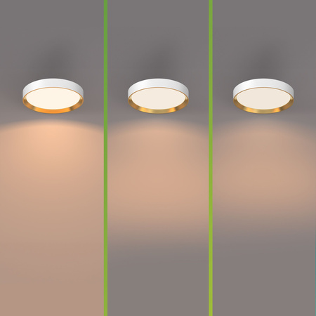 LED Plafond Deckenleuchte 24W 2700lm 2700K SceneSwitch Weiß Hanno Philips