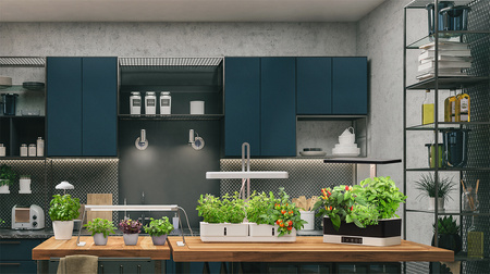 LEDVANCE Innenbeleuchtungslampe 20W 3550K unterstützt das Pflanzenwachstum