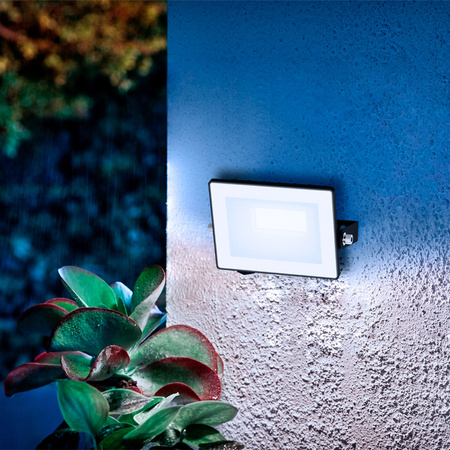 LED-Flutlicht Reflektor 10W 950lm 5000K IP65 Schwarz Lois Philips