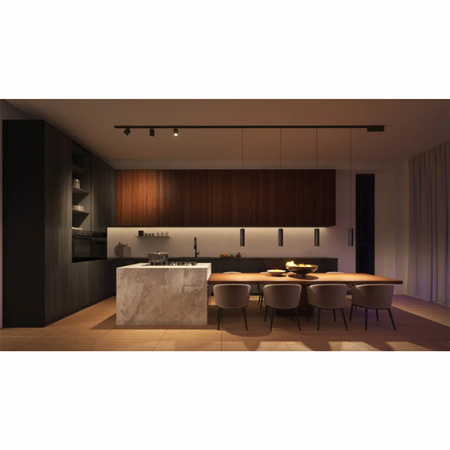 Perifo Lighting Rail Kit 1.5m + 3x LED Pendelleuchte 15.6W CCT RGB Philips HUE Bluetooth Schwarz