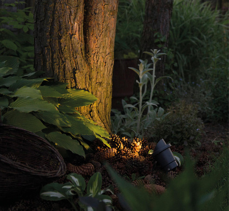 Outdoor-Gartenleuchte BUSH LED 3401 GU10 IP65 Reflektor Einbauleuchte Graphit Modern Nowodvorski