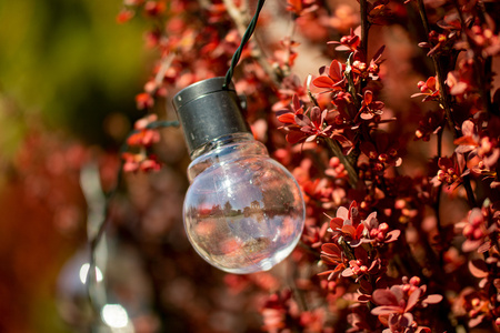 Solar Garland Garden DEKORATIVE Lichterkette 3,35m 10xLED TRANSPARENTE Kugeln 3000K