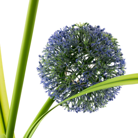 Solar Gartenlampe LED PILUS RGB Gesteuert Dekorative Blume Knoblauch LUMILED