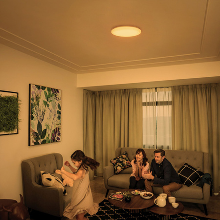 LED Plafond Deckenleuchte 24W 2700-6500K dimmbar CCT 39cm WINCEL + PHILIPS PILOT