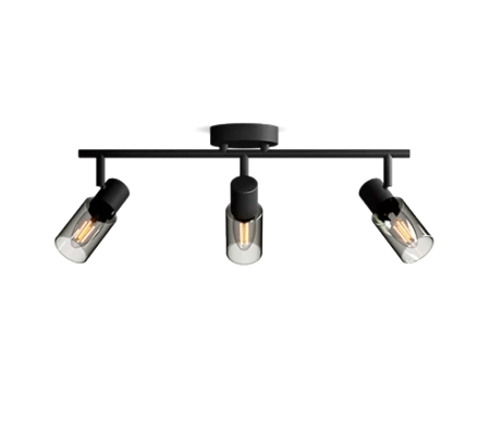 Reflektor-Deckenleuchte 3x E14 Schwarz Palmen Philips