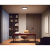 LED-Anbaupanel Aurelle Schwarz 21W CCT PHILIPS HUE Bluetooth + Dimmerschalter