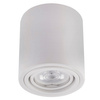Aufbauleuchte HALOGEN Aluminium Weiß SPOT TUBE 10cm für LED GU10 Bellalux